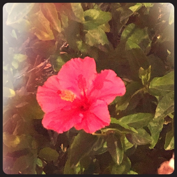 Bundle or make an offer! Cleaning house!! - Picture 1 of 1